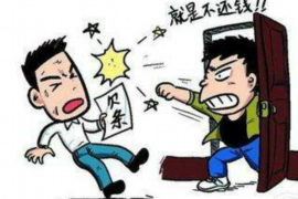 新平新平的要账公司在催收过程中的策略和技巧有哪些？