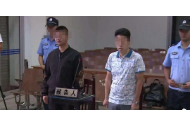 新平遇到恶意拖欠？专业追讨公司帮您解决烦恼