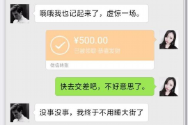 新平为什么选择专业追讨公司来处理您的债务纠纷？
